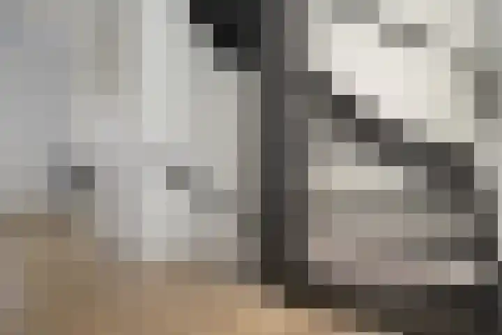 Kabouterberg 16 Veldhoven thumbnail 19