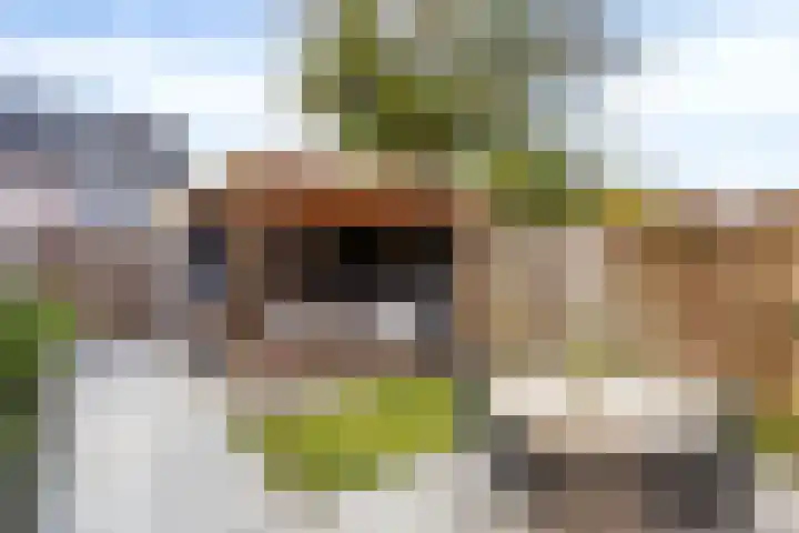 Kabouterberg 16 Veldhoven thumbnail 28