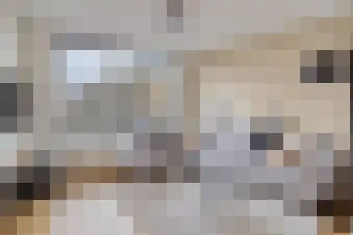 Kabouterberg 16 Veldhoven thumbnail 8