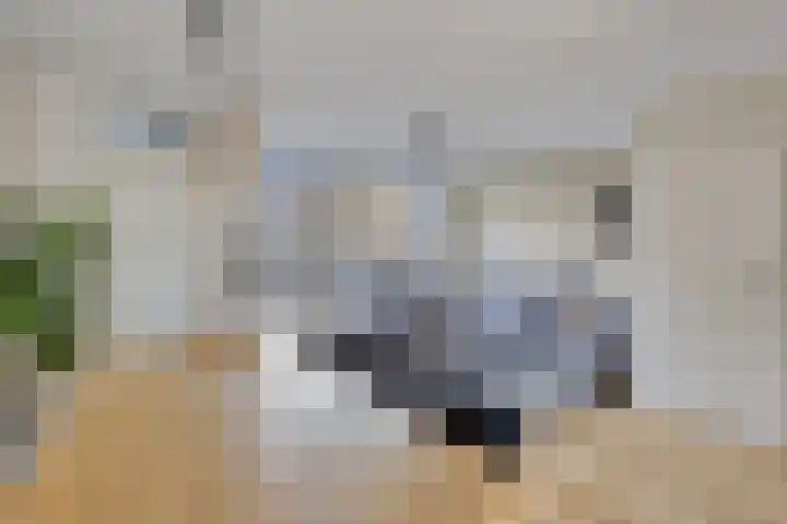 Kabouterberg 16 Veldhoven thumbnail 9
