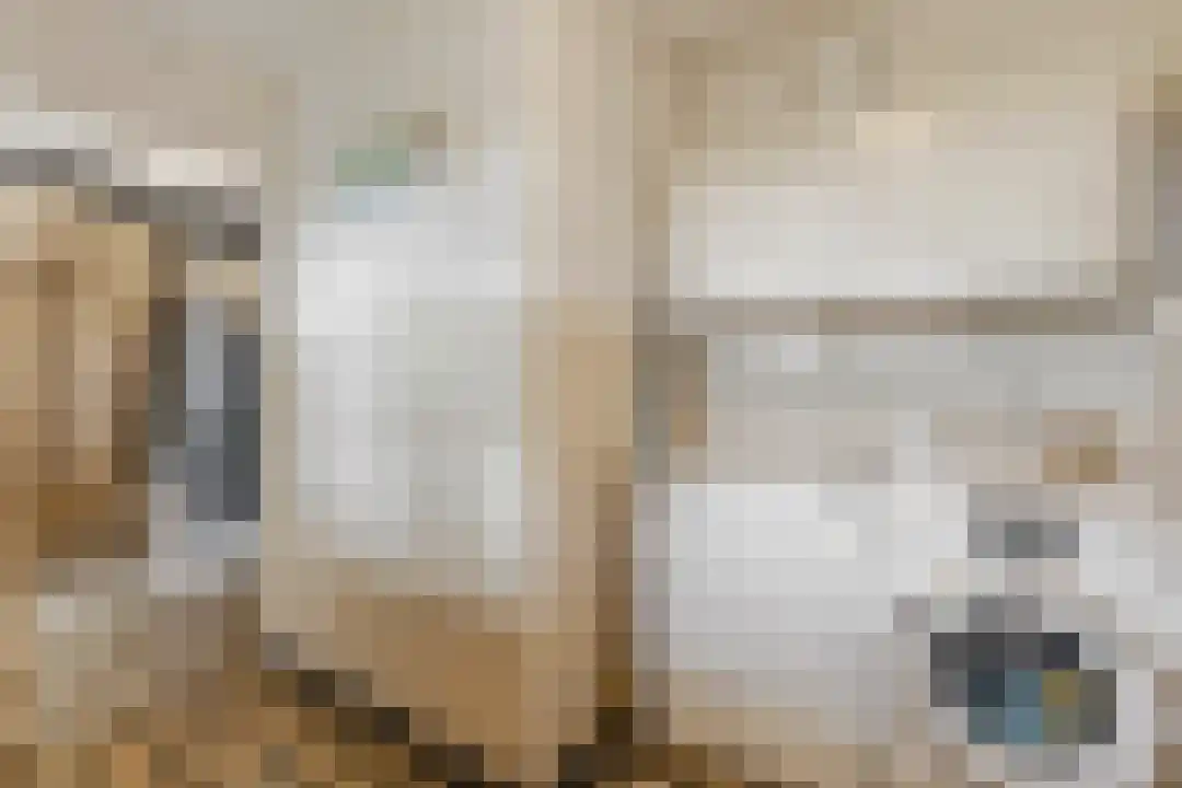 Kade 12 De Klomp thumbnail 23