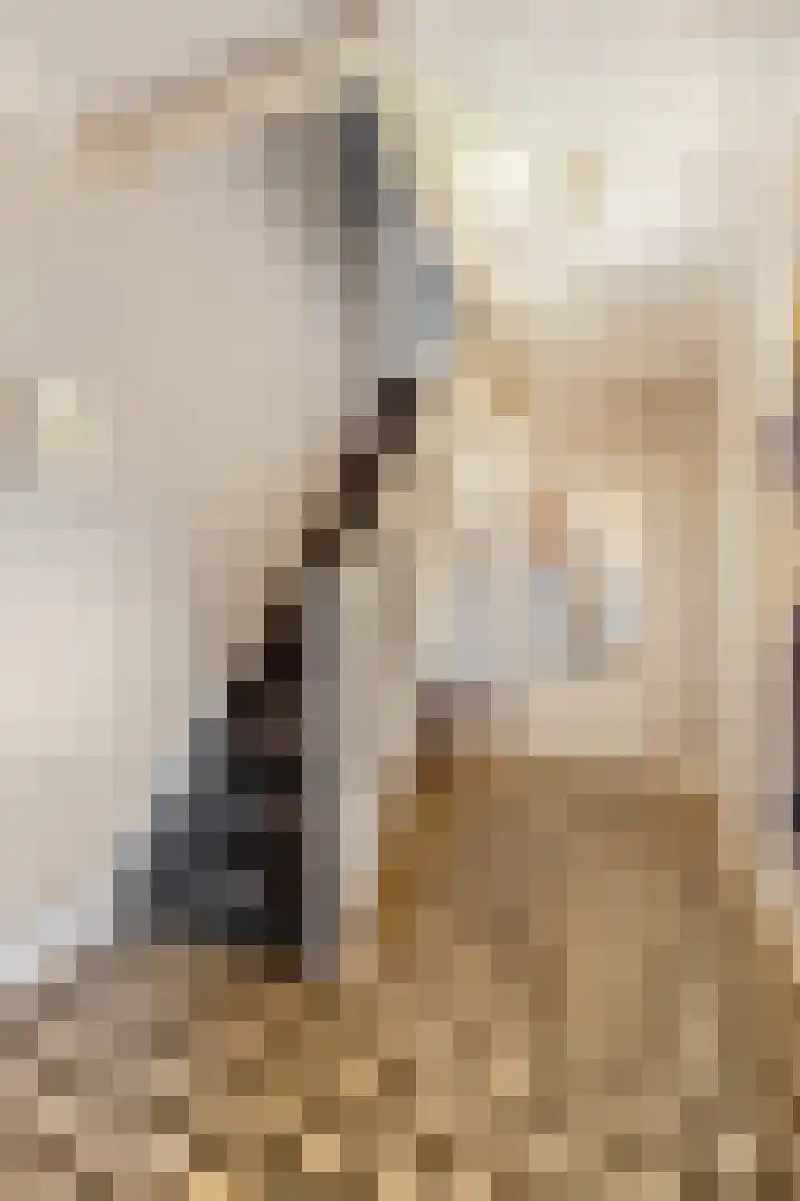 Kade 12 De Klomp thumbnail 27