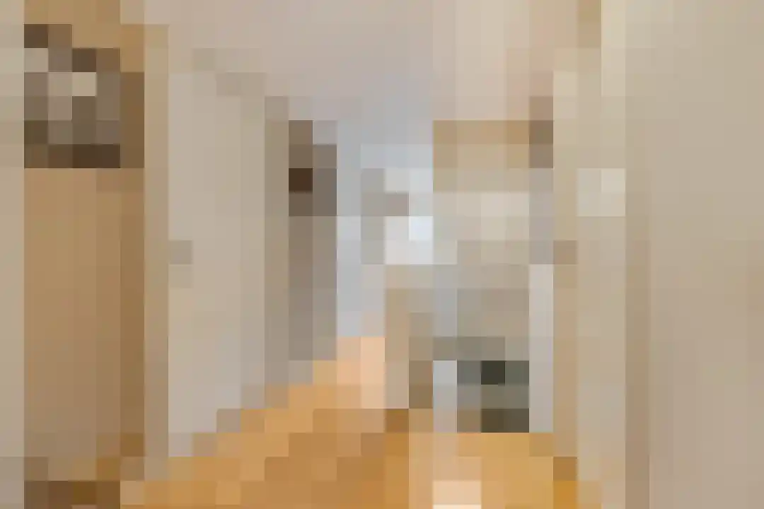 Kade 12 De Klomp thumbnail 28