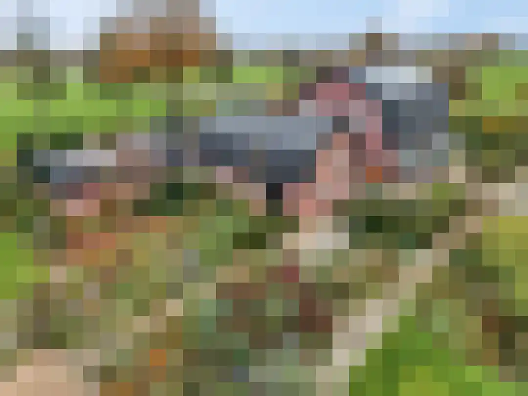 Kade 12 De Klomp thumbnail 41
