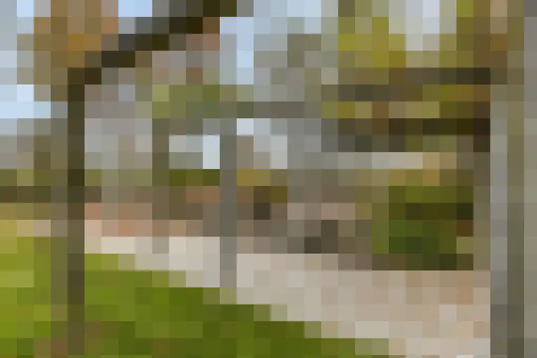 Kade 12 De Klomp thumbnail 51