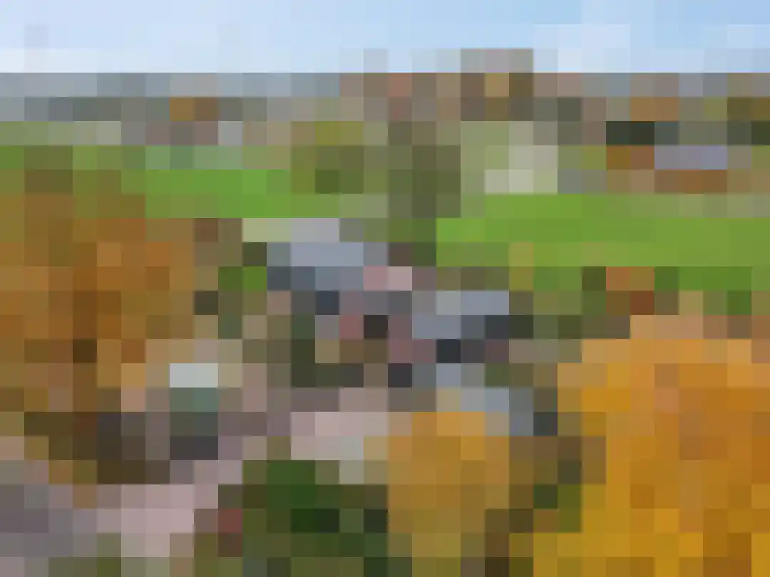 Kade 12 De Klomp thumbnail 54