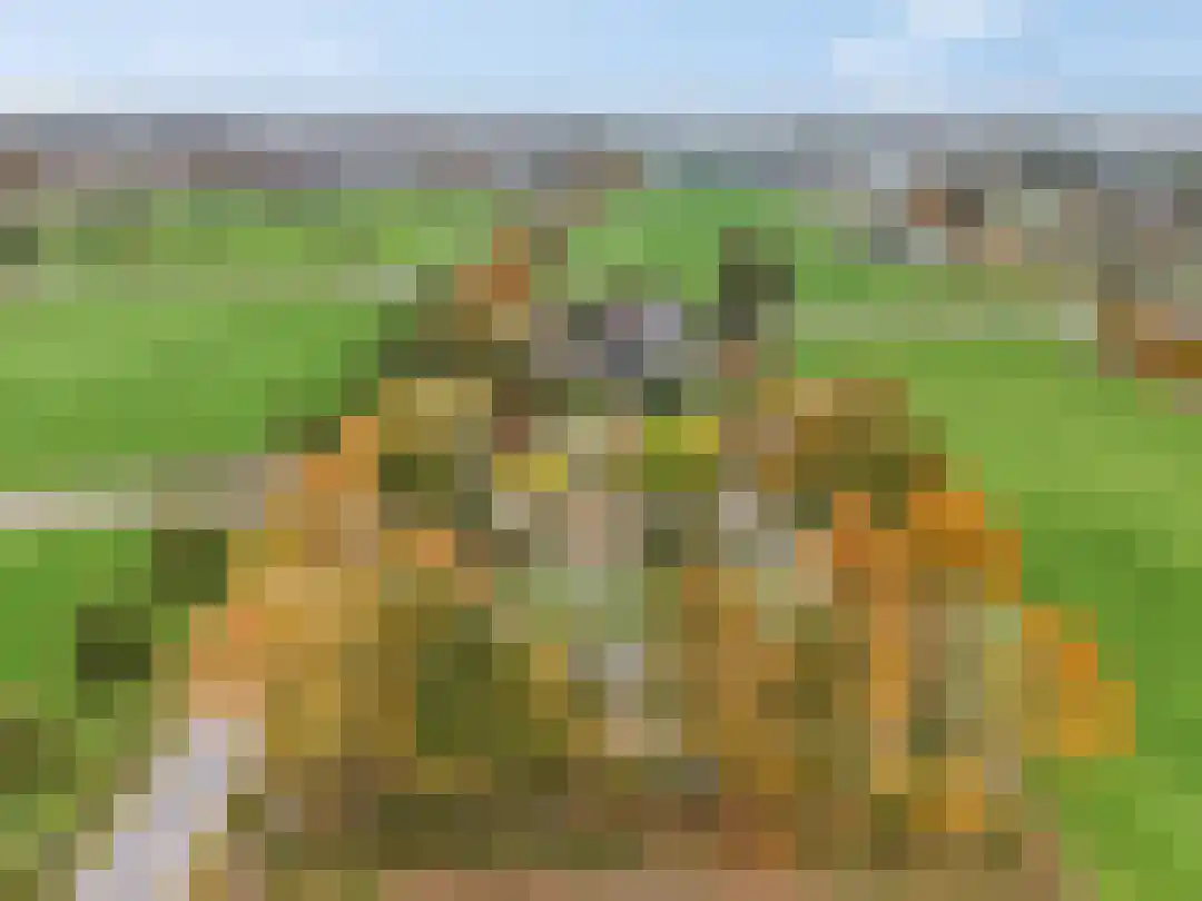 Kade 12 De Klomp thumbnail 55