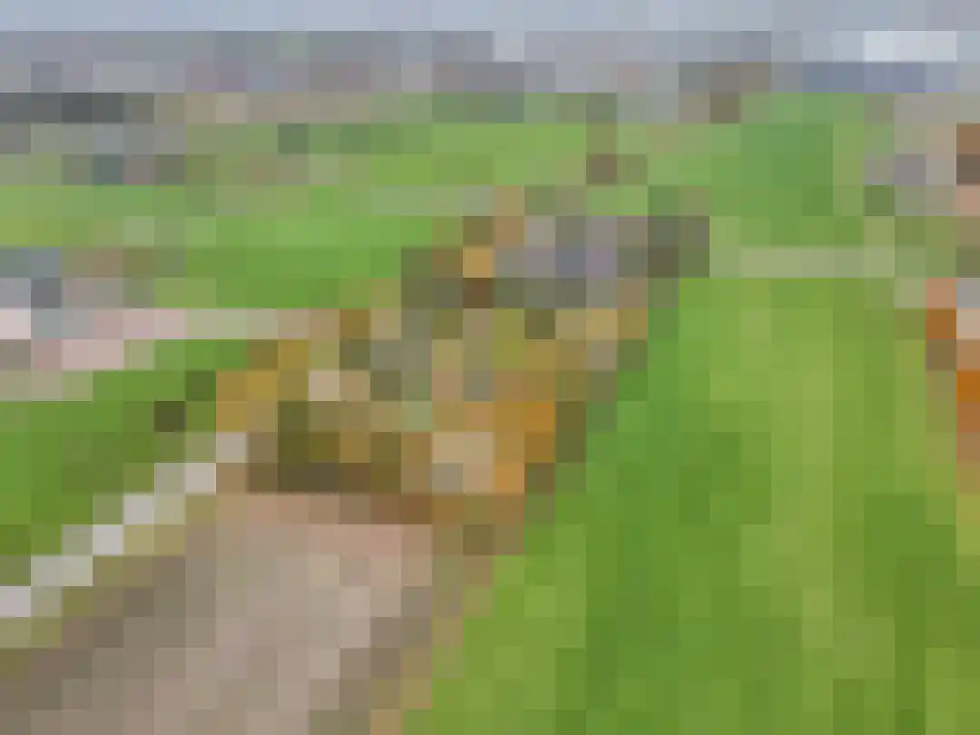 Kade 12 De Klomp thumbnail 56