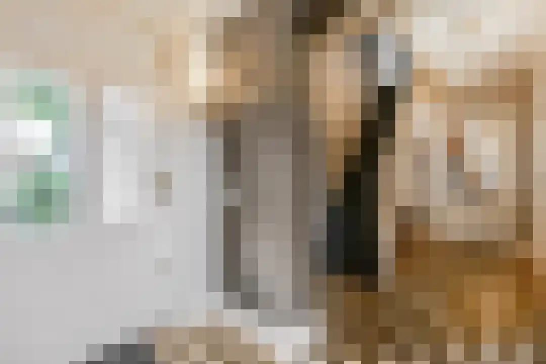 Kade 12 De Klomp thumbnail 7