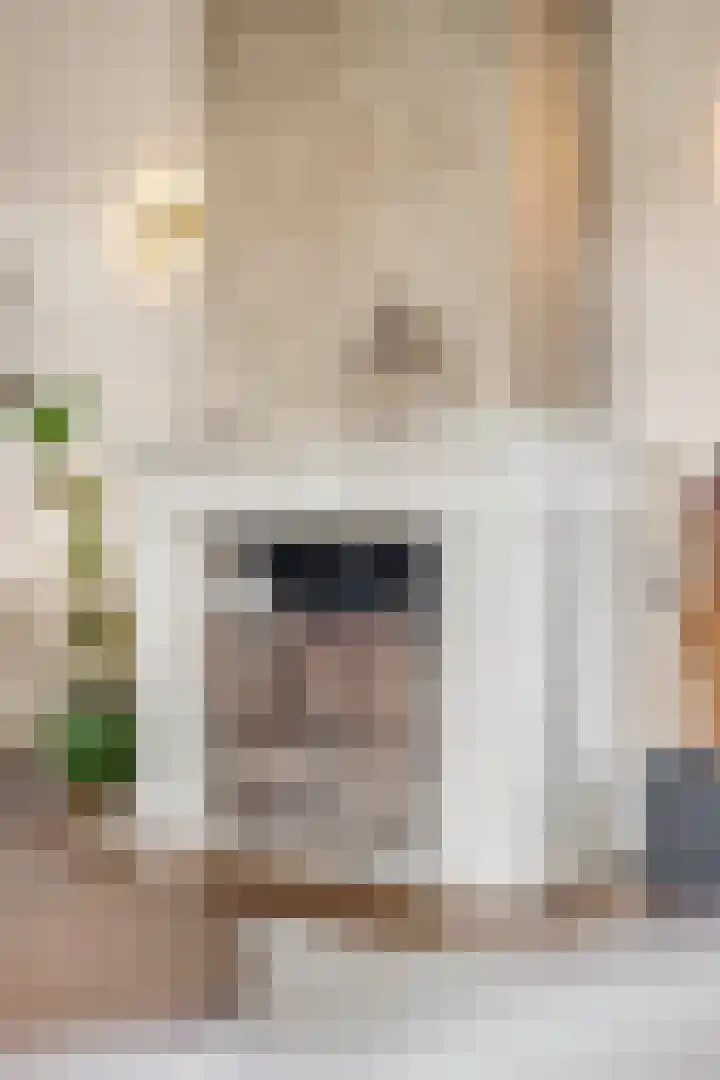 Kade 12 De Klomp thumbnail 9