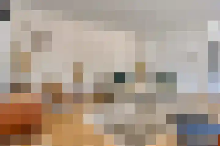 Kade 2 Den Bommel thumbnail 10