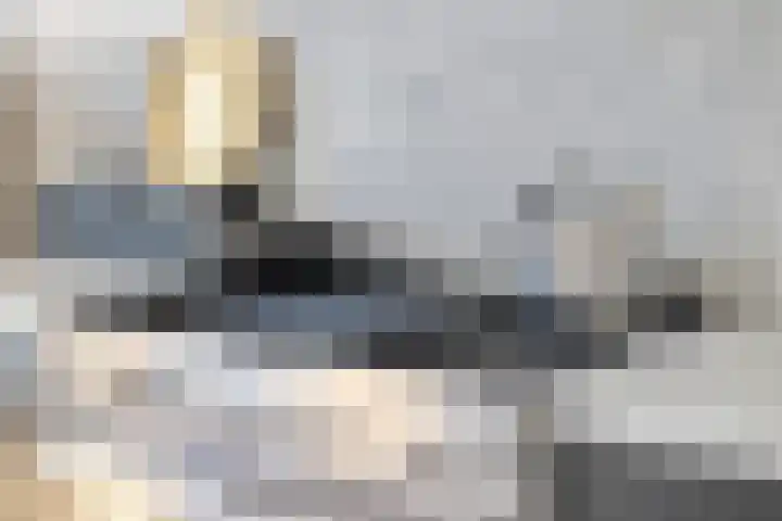 Kade 2 Den Bommel thumbnail 16