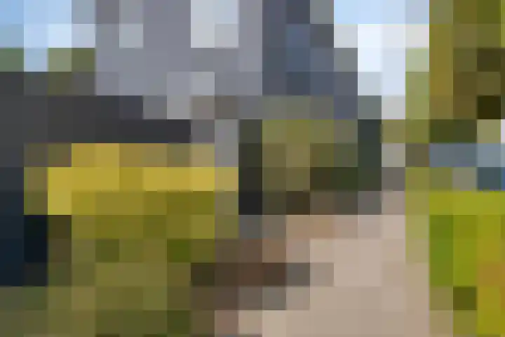 Kade 2 Den Bommel thumbnail 38