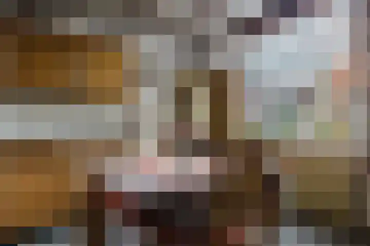 Kade 6 Rucphen thumbnail 12
