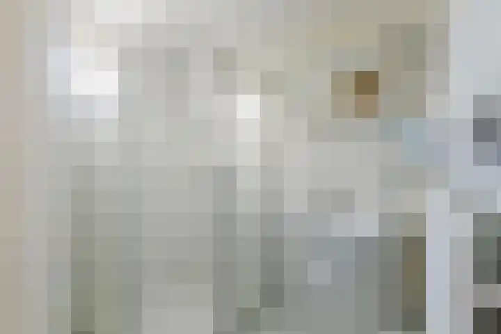 Kade 6 Rucphen thumbnail 16