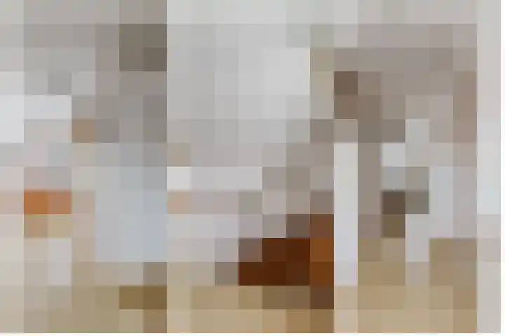 Kade 6 Rucphen thumbnail 21
