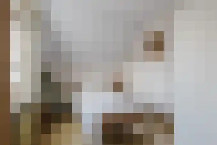 Kade 6 Rucphen thumbnail 22