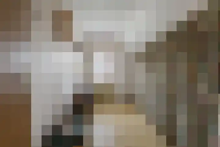 Kade 6 Rucphen thumbnail 24