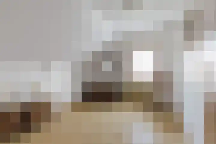Kade 6 Rucphen thumbnail 26