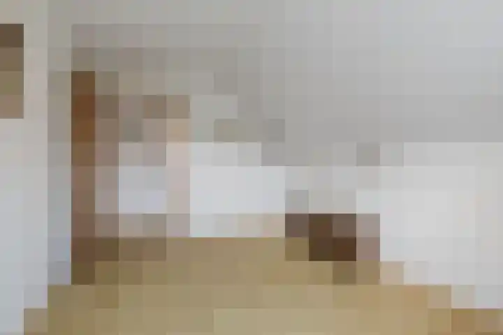 Kade 6 Rucphen thumbnail 27