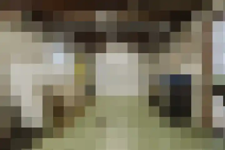 Kade 6 Rucphen thumbnail 29