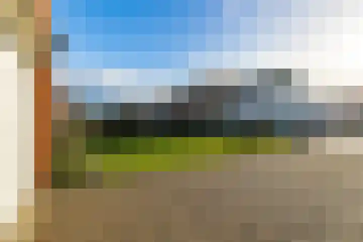 Kade 6 Rucphen thumbnail 30