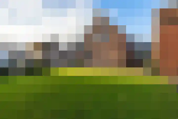 Kade 6 Rucphen thumbnail 32