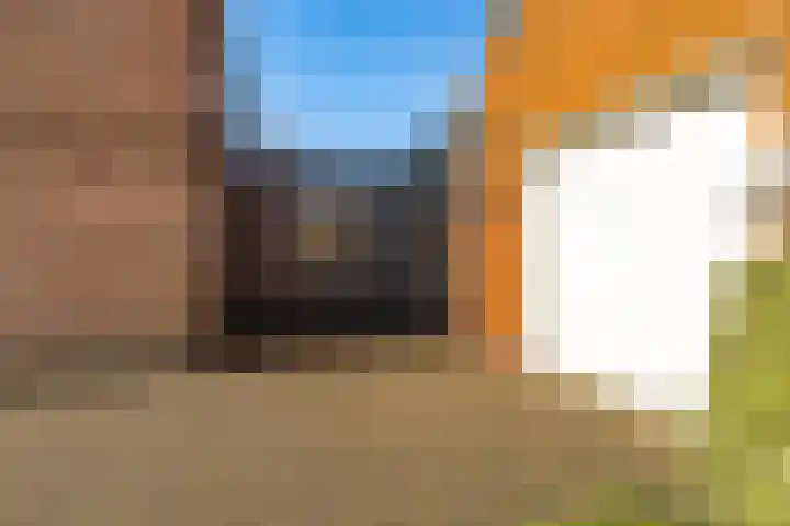 Kade 6 Rucphen thumbnail 33