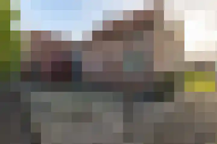 Kade 6 Rucphen thumbnail 35