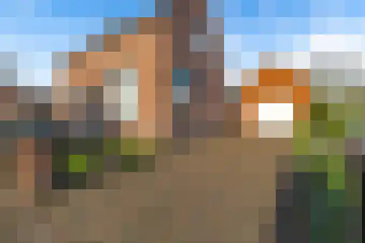 Kade 6 Rucphen thumbnail 36