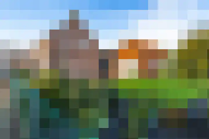 Kade 6 Rucphen thumbnail 37