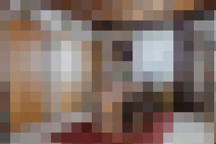 Kade 6 Rucphen thumbnail 4