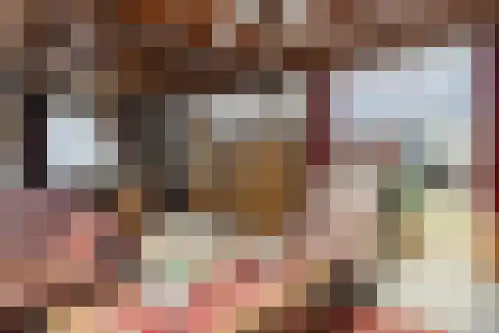 Kade 6 Rucphen thumbnail 9