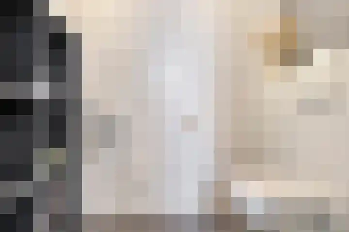Kadedijk 30 Fijnaart thumbnail 11