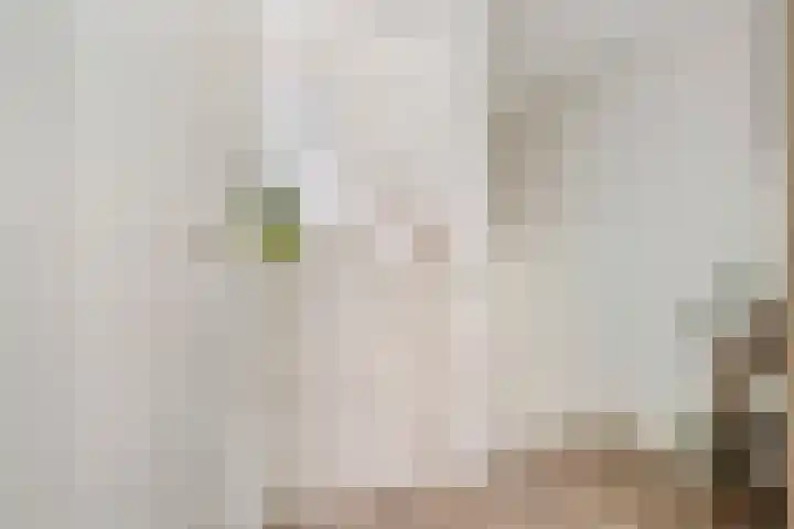 Kadedijk 30 Fijnaart thumbnail 20