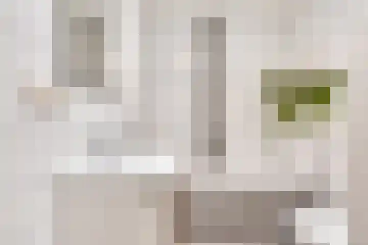 Kadedijk 30 Fijnaart thumbnail 25