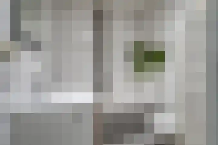 Kadedijk 30 Fijnaart thumbnail 30