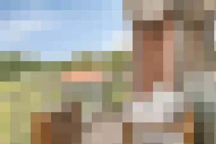 Kadedijk 30 Fijnaart thumbnail 32