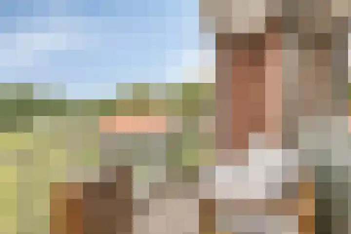 Kadedijk 30 Fijnaart thumbnail 4