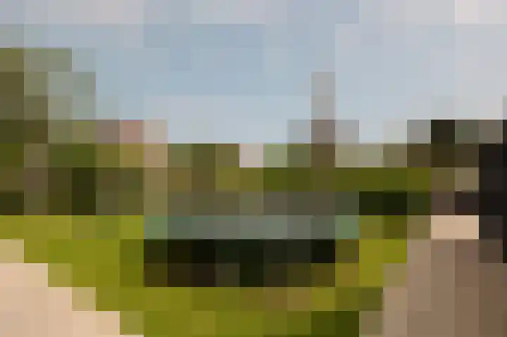 Kadijk 1 B Venhuizen thumbnail 29
