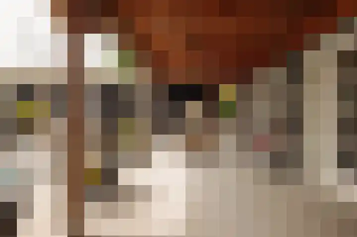 Kadijk 1 B Venhuizen thumbnail 33