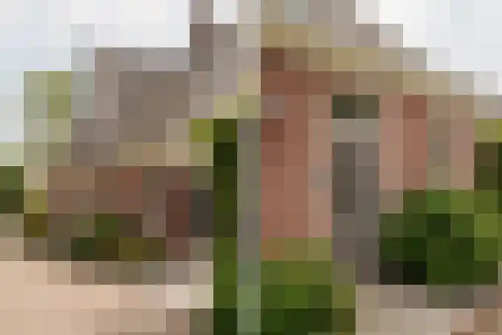 Kadijk 1 B Venhuizen thumbnail 40