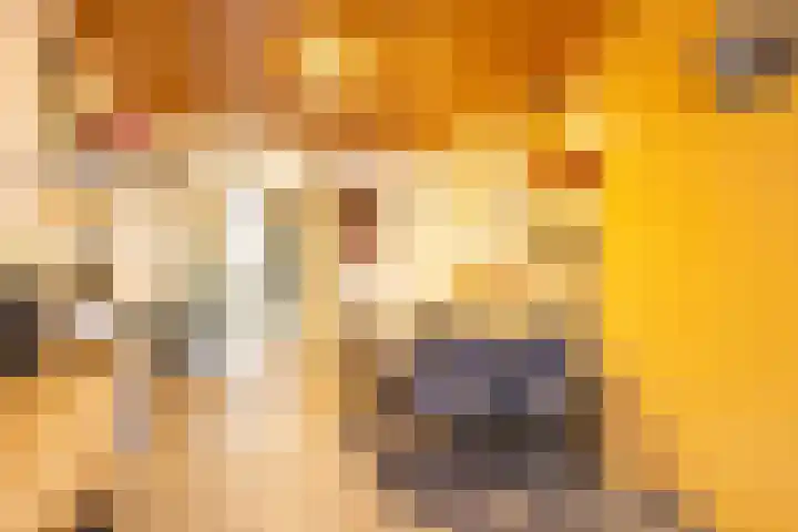 Kaffebergsweg 76 Kerkrade thumbnail 10