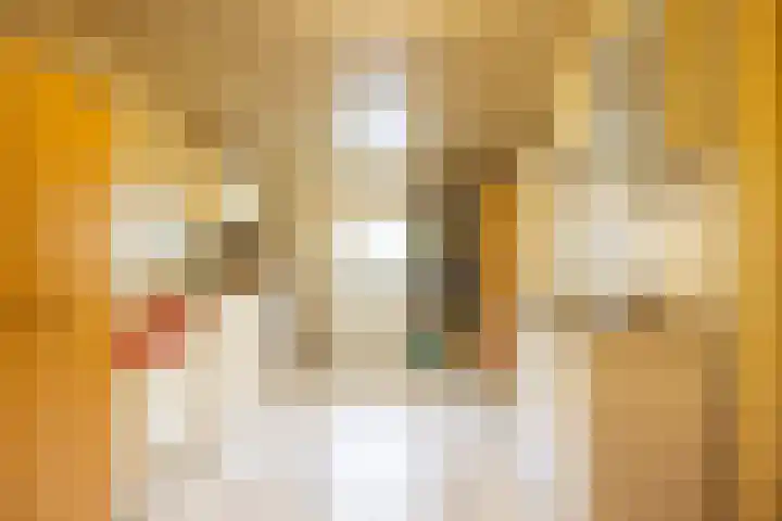 Kaffebergsweg 76 Kerkrade thumbnail 17