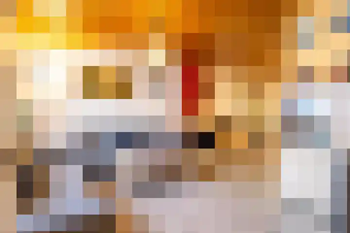 Kaffebergsweg 76 Kerkrade thumbnail 7