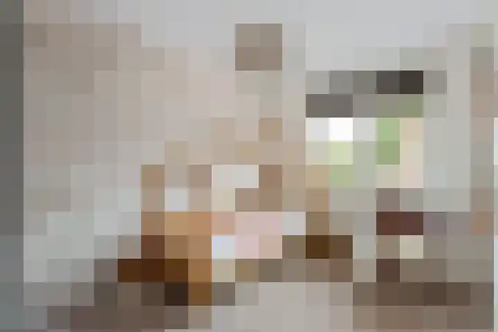 Kafmolen 21 Denekamp thumbnail 15