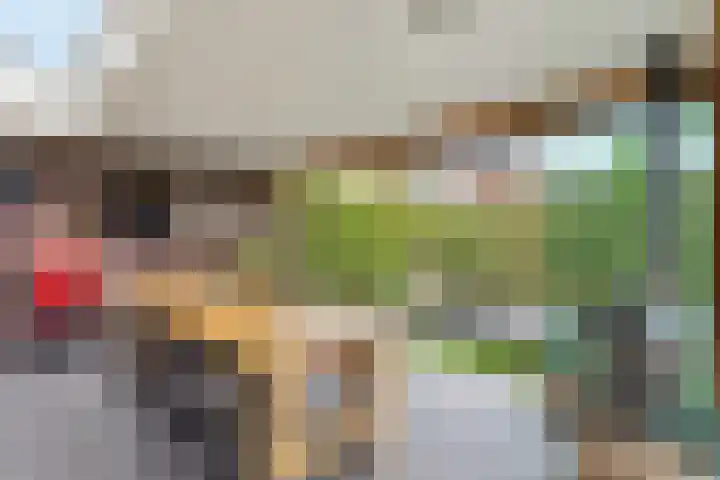 Kafmolen 21 Denekamp thumbnail 19
