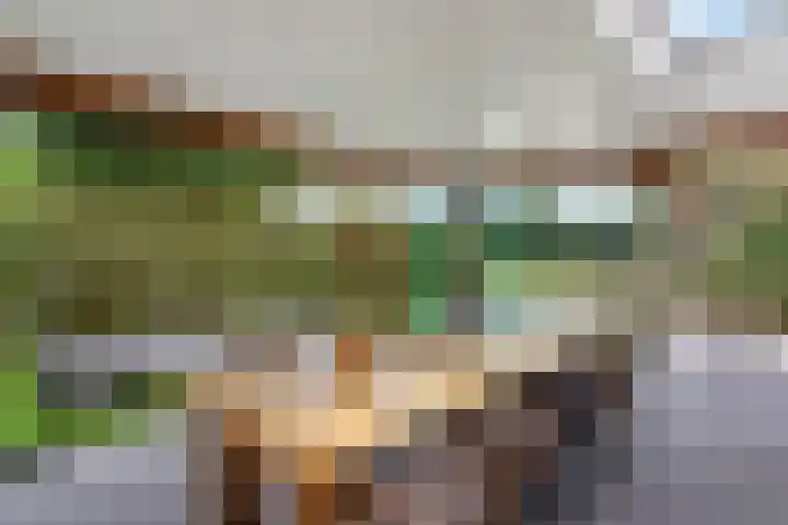 Kafmolen 21 Denekamp thumbnail 4