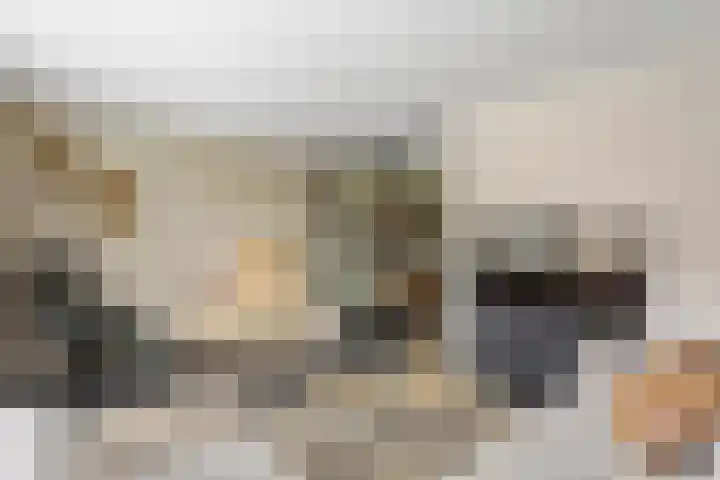 Kafmolen 21 Denekamp thumbnail 7
