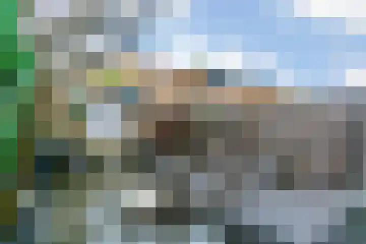 Kaftanstraat 15 Purmerend thumbnail 27